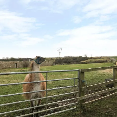 Barforth Hall Holiday home Richmond (North Yorkshire)